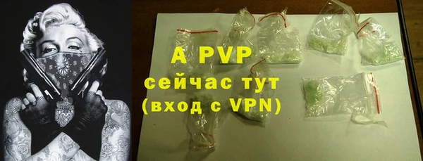 гашик Гатчина