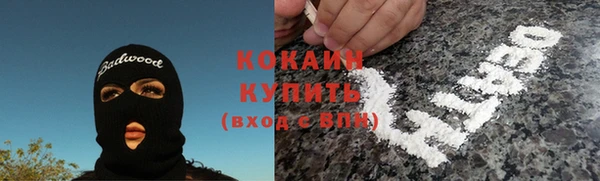твердый Михайлов