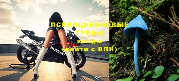 соль курить ск Михайловск