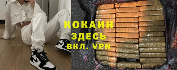 прущие грибы Мегион