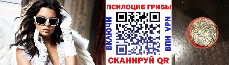 Псилоцибиновые грибы Cubensis  Калтан 